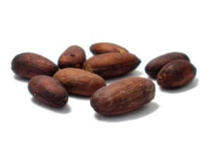 cacao-criollo